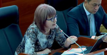 Депутат Евгения Строкова будет голосовать за скандальную поправку в закон об НКО