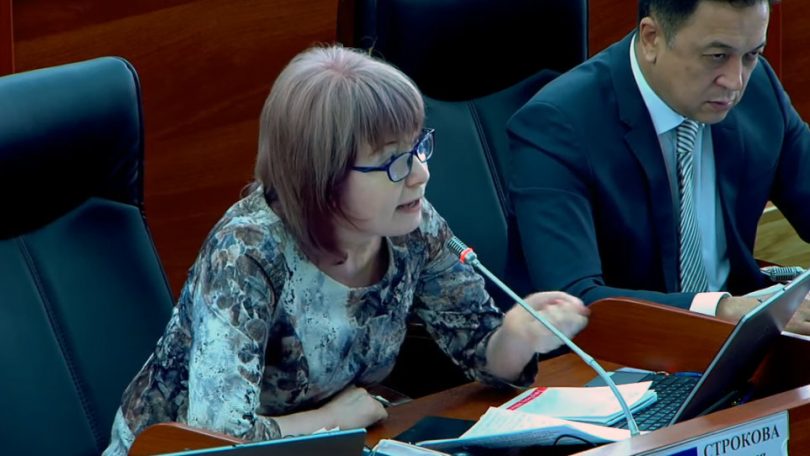 Депутат Евгения Строкова будет голосовать за скандальную поправку в закон об НКО