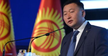 Токтогазиева: Конституциянын долбооруна сунуш киргизүү укугубуз чектелди